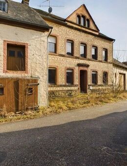 Ehemaliges landwirtschaftliches Anwesen mit angrenzenden Wiesen. Welschbillig- Ittel - Welschbillig