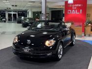 VW Beetle Cabrio Design BMT PDC - ALU - SITZHZ. - Mayen