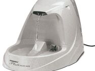PetSafe® Drinkwell® Platinum Trinkbrunnen - Trinkbrunnen 5 Liter
