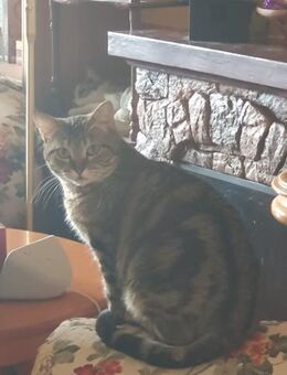 Hera, großes Mutterherz - Geilenkirchen