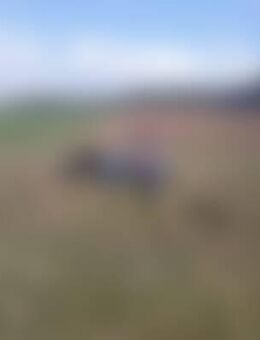 Rol*** - Schnaittenbach