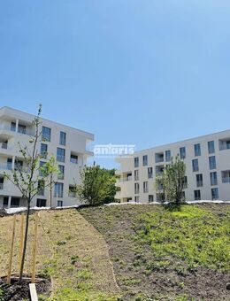 antaris Immobilien GmbH ** 2-Raum-Wohnung mit perfekter Anbindung und EBK - direkt am Steiger ** - Erfurt