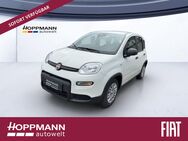 Fiat Panda, 1.0 PANDINA ) GSE CITY-PAKET, Jahr 2022 - Siegen (Universitätsstadt)