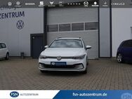 VW Golf, 2.0 TDI VIII Life AID APP M, Jahr 2021 - Rostock