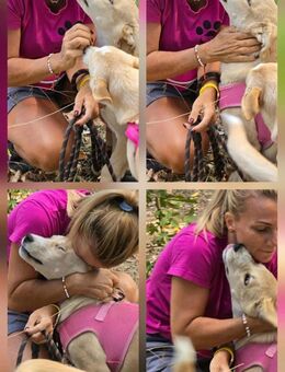 Freundlich + voller Neugier = COOPER♥️ - München