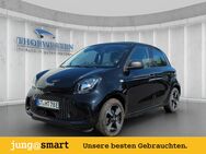 smart EQ forfour, , Jahr 2021 - Schloß Holte-Stukenbrock