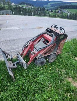 Minilader Skid Skeer Loader Bj. 2022 - Leer (Ostfriesland)