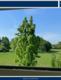 Großzügige 3-Zimmer-Wohnung mit Blick ins Grüne - Baden-Baden