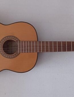 Akustikgitarre mit Koffer - Heidenheim (Brenz)