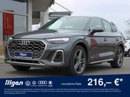 Audi SQ5, 3.0 TDI QUATTRO, Jahr 2021 - Stollberg (Erzgebirge)