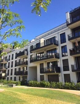 Sonnige 2-Zimmer-Wohnung in Karlhorst - Berlin