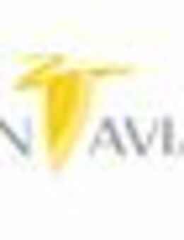 Copilot / Pilot / First Officer m/w/d Falcon 8X Teilzeit - Lauchringen