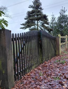 Suche Einliegerwohnung im EG mit Gartennutzung - Osnabrück