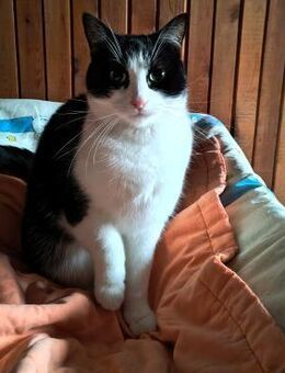 Minka - Weilmünster