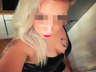 🤫🥵 Dein geilstes Online-Abenteuer mit der versautesten Bitch hier (auch für Frauen ❤️)– nur wir beide mit unseren verdorbensten Fantasien ➡️ ABSOLUT VERSAUT MIT SUCHTGEFAHR ⬅️ - Chats, Bilder, Videos etc. 🔥💦 - Magdeburg