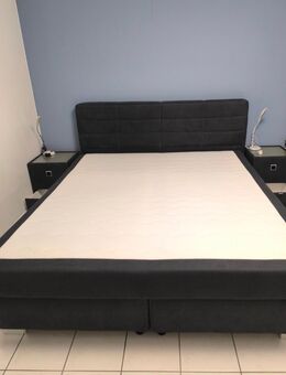 Rabea_Max_Boxspringbett mit 2 Lancy Nachtkonsolen Beleuchtet - Mechernich