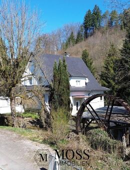 Wohnen in der Idylle des Wiesentals - Hasel