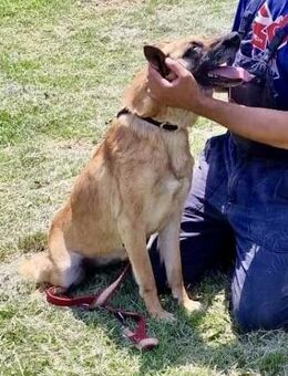 Herz in Not = soziale RUBY 🆘🆘🆘 - München