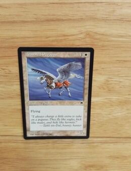 Magic The Gathering-Armored Pegasus - Nörvenich