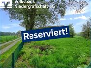 Schön gelegener Resthof in Wilsum - Wilsum