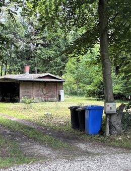 Vermietetes Traumgrundstück sucht neuen Eigentümer in Ottermoor - Otter