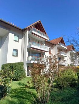 FR-Betzenhausen, Am Seepark, 2-Zi-Whg. im 2. OG mit Balkon (vermietet) - Freiburg (Breisgau)