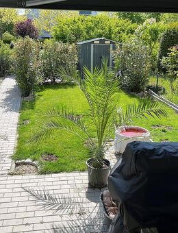 Für Kapitalanleger! Exklusive 2-Raum ETW , mit Terrasse und Garten mit Tiefgaragenplatz - Leipzig