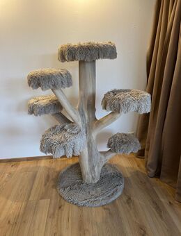 Kratzbaum Natur XXL, Maincoon, Katze - Werl Zentrum