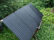 160W Ecoflow Solarpanel IP68 - Fulda Zentrum