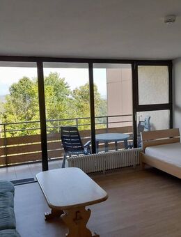 Neu renovierte 2-Zimmer-Wohnung in 94078 Freyung am Geyersberg zu verkaufen - Freyung