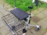 Rollator Dietz Fakto Standard grau Korb PU-Reifen Stockhalter - Blankenburg (Harz)