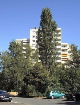 3,5-Zimmer-Wohnung mit 95 m² Wohnfläche mit großem Südbalkon und Tiefgaragenstellplatz in sehr ruhiger Waldrandlage - Erlangen