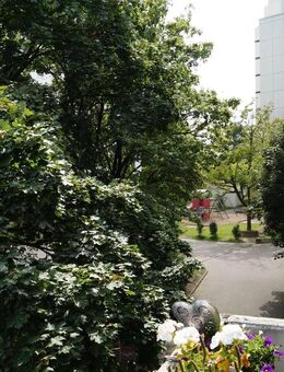 ETW, Barmen Mitte mit Balkon und Doppelgarage, bezugsfrei - Wuppertal