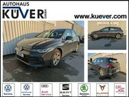 VW Golf, 1.5 TSI Life 16, Jahr 2024 - Hagen (Bremischen)