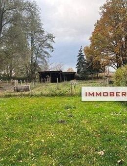 IMMOBERLIN.DE - Charmantes Einfamilienhaus + Nebengelasse auf sehr großem Anwesen in guter ländlicher Infrastruktur - Löwenberger Land