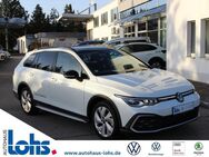 VW Golf Variant, Golf VIII Alltrack Black Edition 4 Motio, Jahr 2024 - Limbach-Oberfrohna