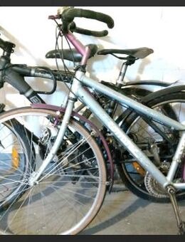 Fahrrad Fahrräder Bergamont Corratec Rad MTB Trekking Peugeot Damenrad Herrenrad - Weiterstadt