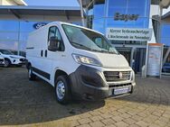 Fiat Ducato, L1 Autm, Jahr 2019 - Alzey