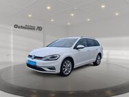 VW Golf Variant, 1.5 TSI Golf VII Highline, Jahr 2019 - Hofgeismar