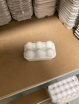 - Lagerverkauf (30 Cent/Stck.) - Wachteleier-Verpackung (leer) - Dresden