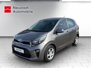 Kia Picanto, 1.2 Edition Drive, Jahr 2024 - Elsterwerda