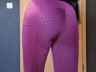 Getragene (Reit-) Leggins von Josi 💋 - Peine