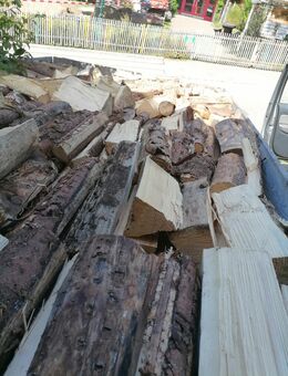 Brennholz Fichte oder Esche ofenfertig - Haldenwang (Landkreis Oberallgäu)