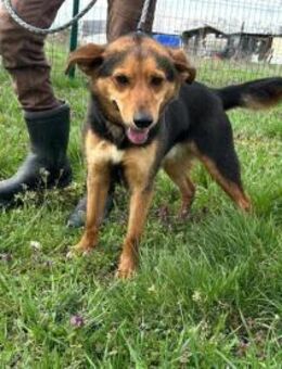 Gombi wartet auf tolle Abenteuer - Nordwalde