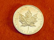Maple Leaf Silber 999 Kanada 1 Unze 2009 und 2011 - Mannheim