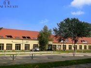Helle Dachgeschoß-Wohnung mit Terrasse in Stadtfeld - Magdeburg