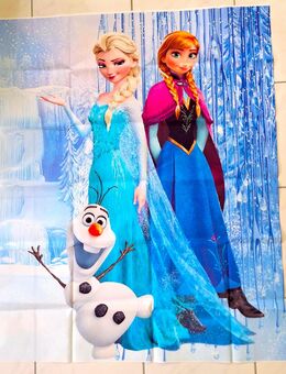 Poster XXL Frozen Elsa die Eiskönigin groß Wandbild Leinwand /Vinyl 80x100 cm tadelloser Zustand Dekoration - Lindau (Bodensee)