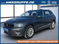 VW Tiguan, 1.5 TSI Comfortline Wi, Jahr 2019 - Stollberg (Erzgebirge)