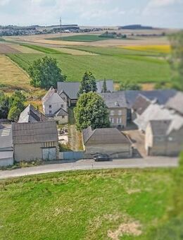 Außergewöhnliches Anwesen mit großem Areal und diversen Nebengebäuden - Münstermaifeld