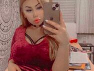 Suche Cumtribute Video - Berlin